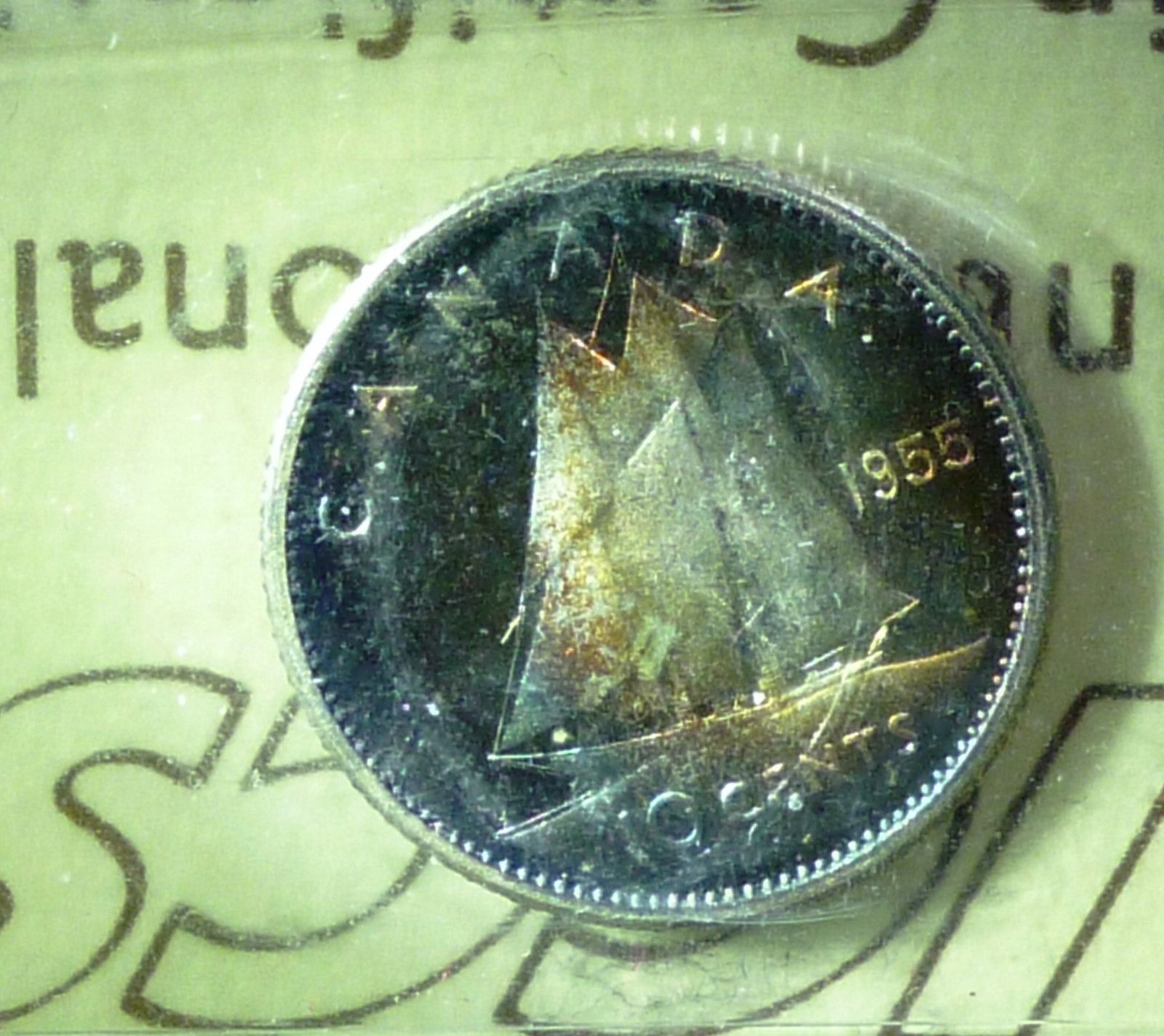 1955 A copy.jpg