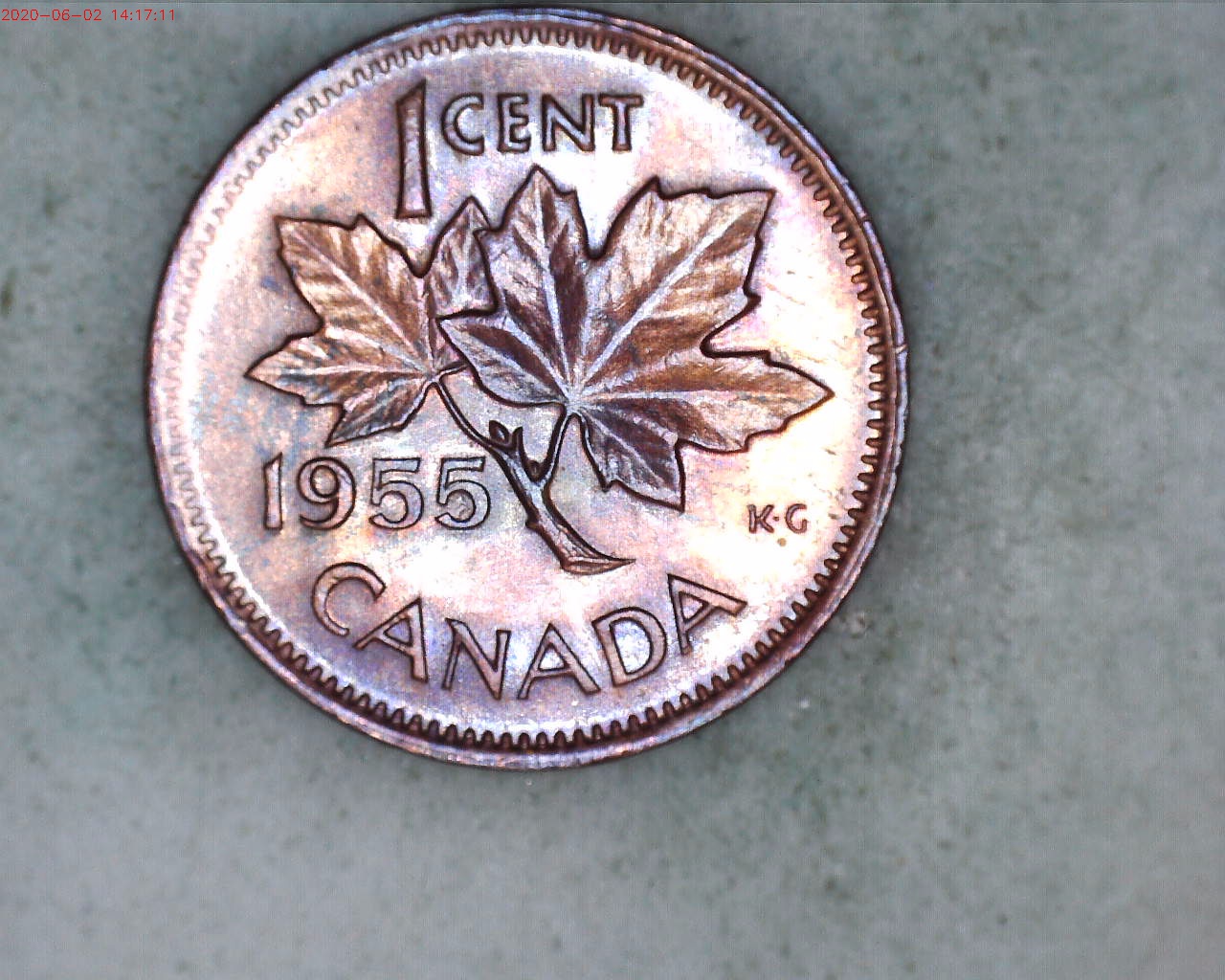 1955 Can Toned Rev.jpg