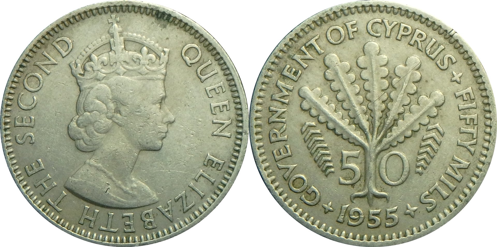 1955 CY 50 m.jpg