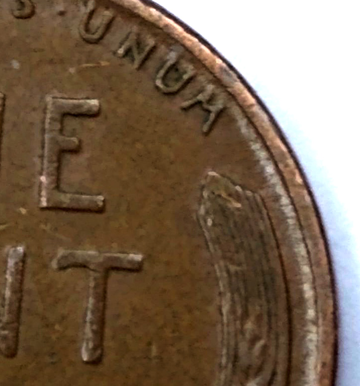 1955 D Lincoln Wheat Penny (Close Up).jpg