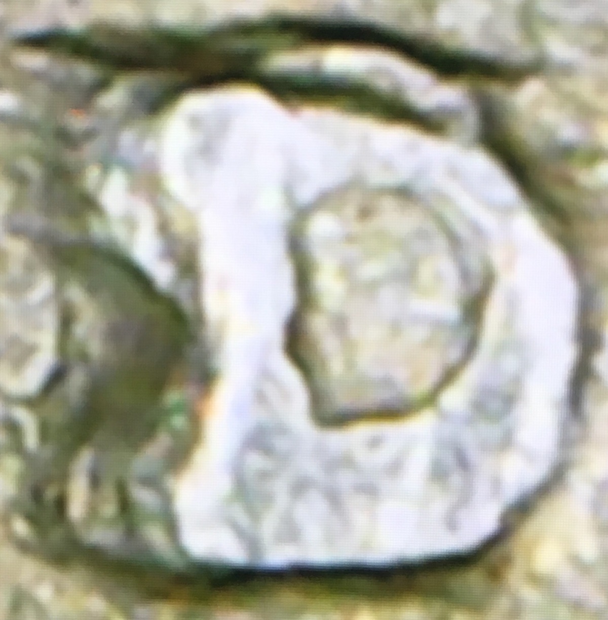 1955 D over S nickle.JPG