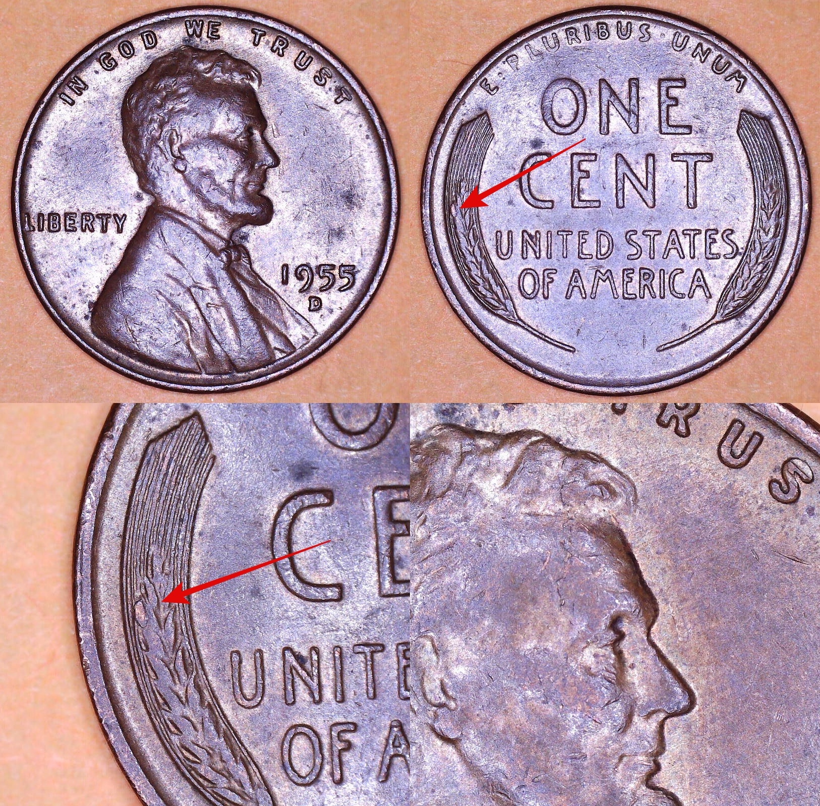 1955 D Skull Cracks and Die Chip Rev.jpg