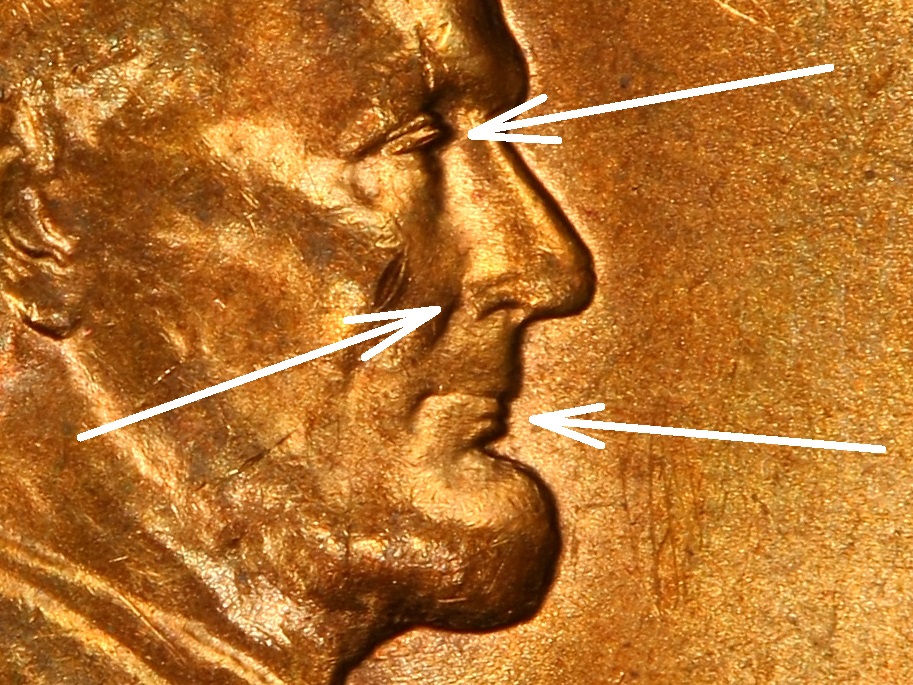 1955 DDO 05375475 Trueview Coin Obv Large CloseUp-01.jpg