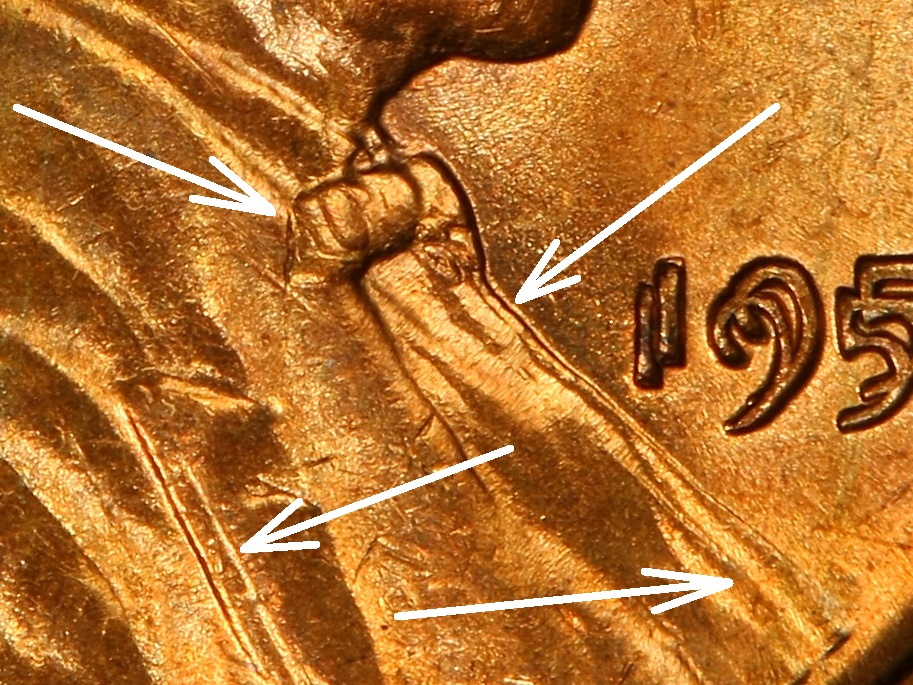 1955 DDO 05375475 Trueview Coin Obv Large CloseUp-02.jpg