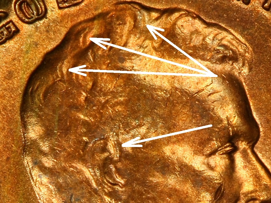 1955 DDO 05375475 Trueview Coin Obv Large CloseUp-03.jpg