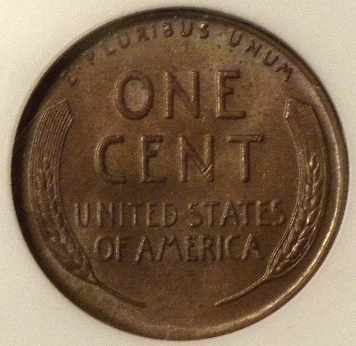 1955 DDO 1 R.jpg