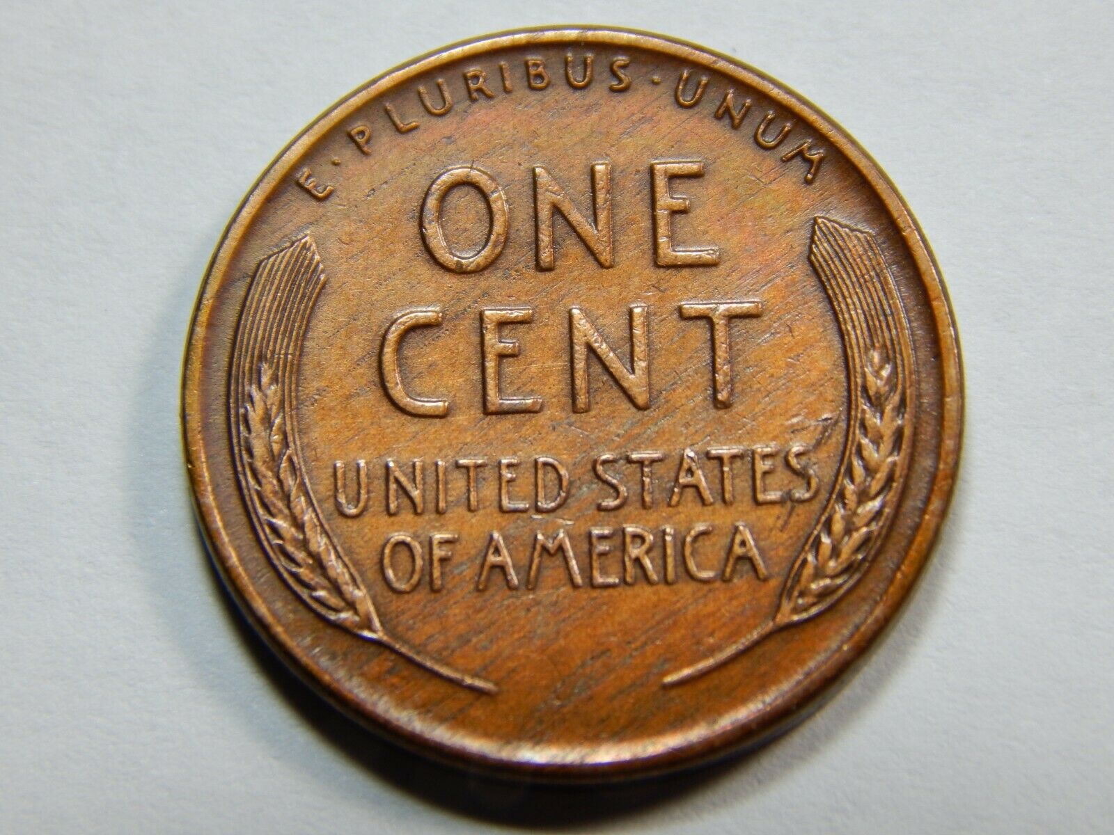 1955 DDO - BACK.jpg