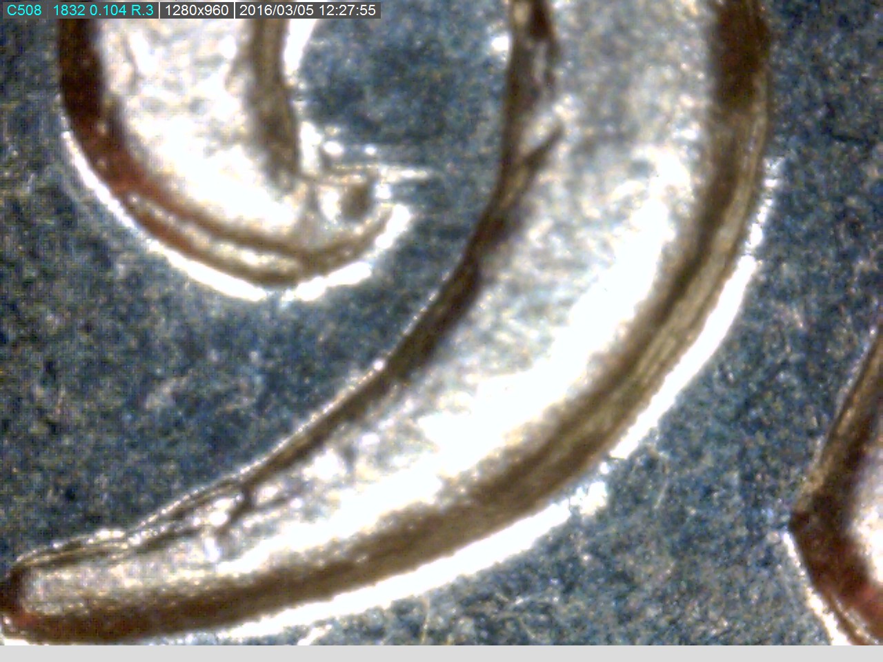 1955 Franklin DDO 2 9.jpg