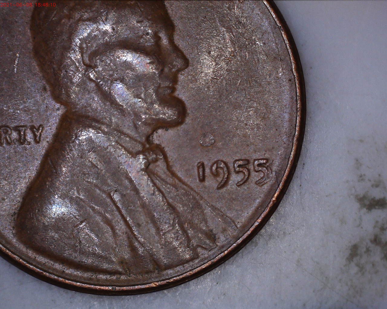 1955.jpg