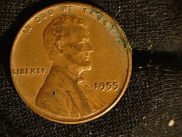 1955.jpg
