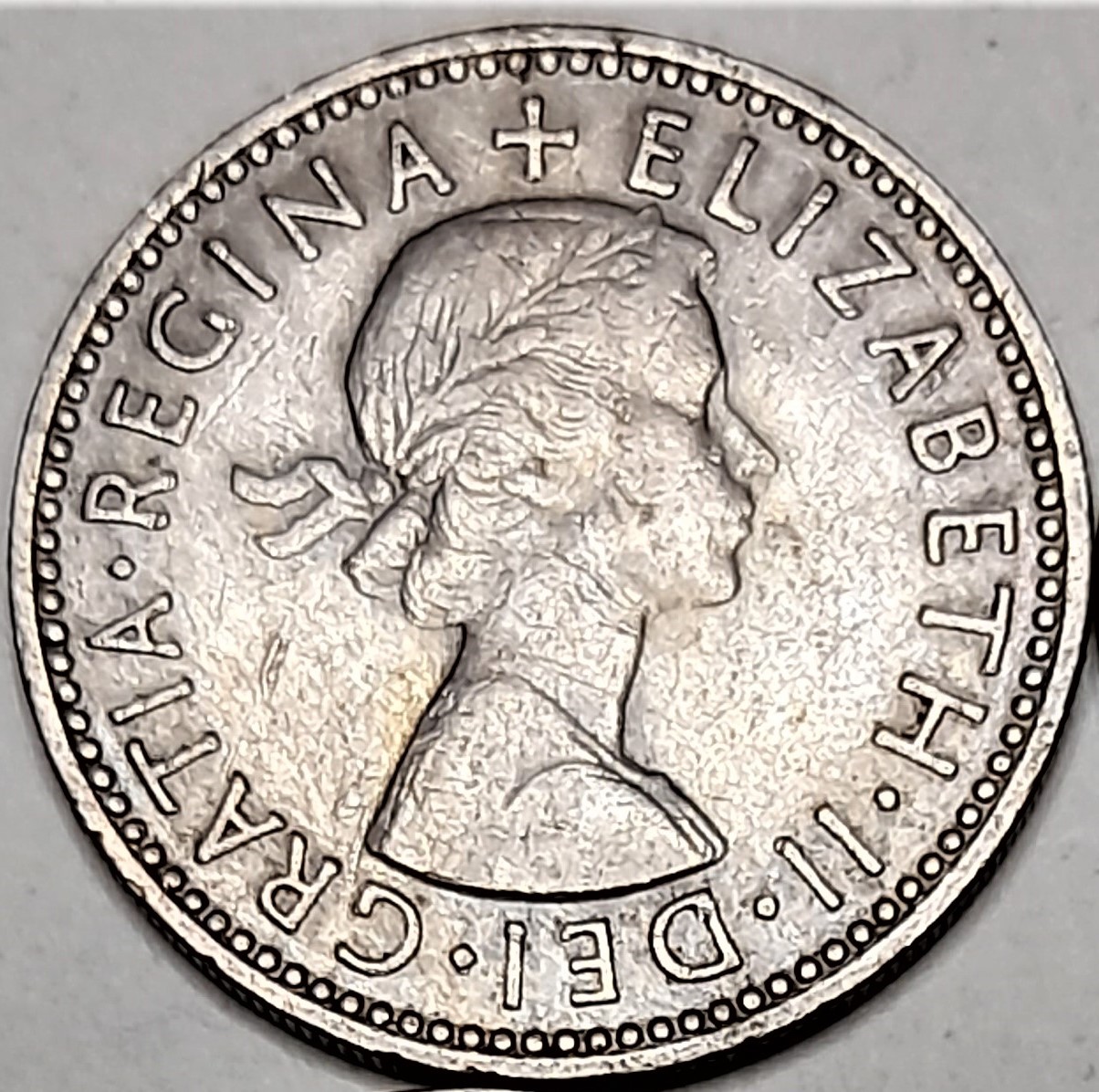 1955.jpg