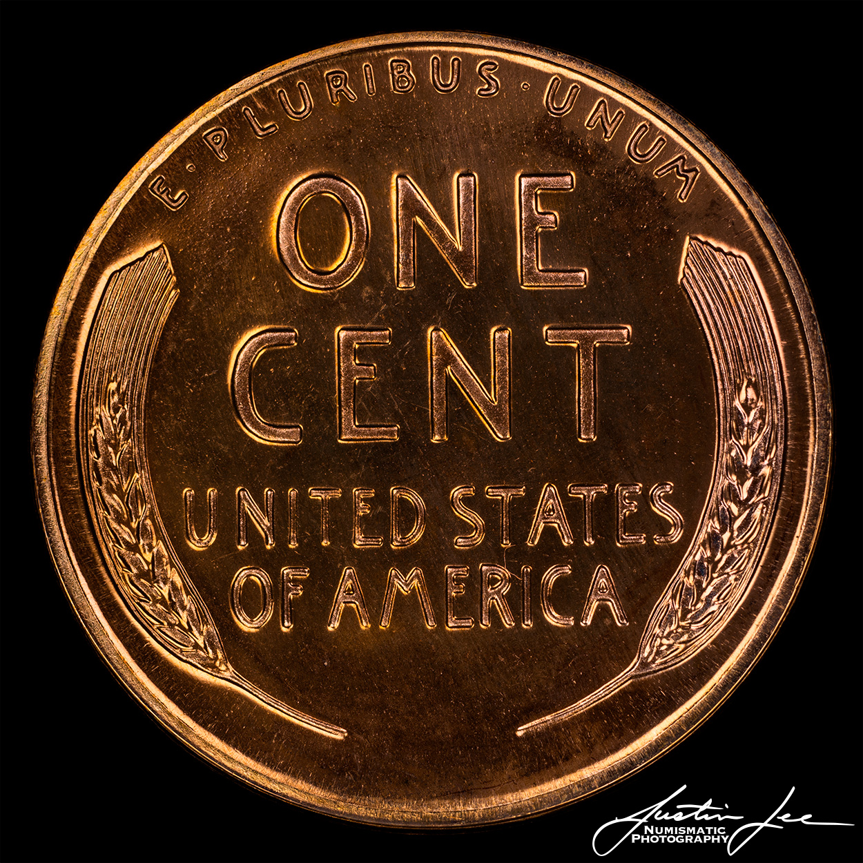 1955-Lincoln-Cent-Proof-Reverse.jpg