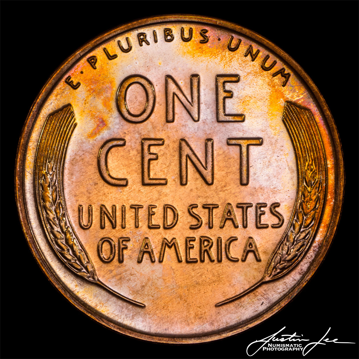 1955-Lincoln-Cent-Reverse.jpg