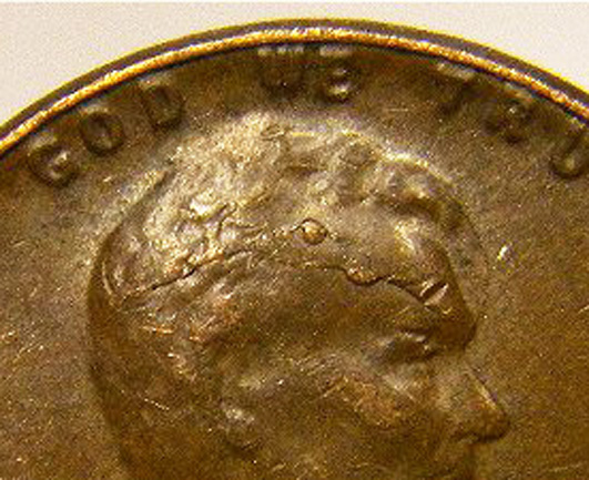 1955 Lincoln Wheat Penny (Obverse) (Head CloseUp3)-ccfopt.jpg
