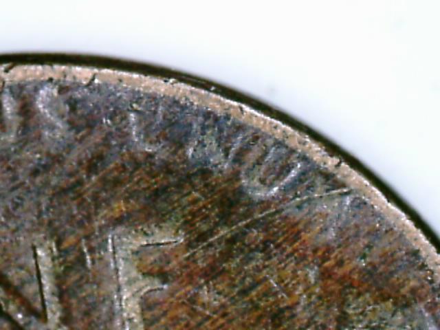 1955 r2.jpg
