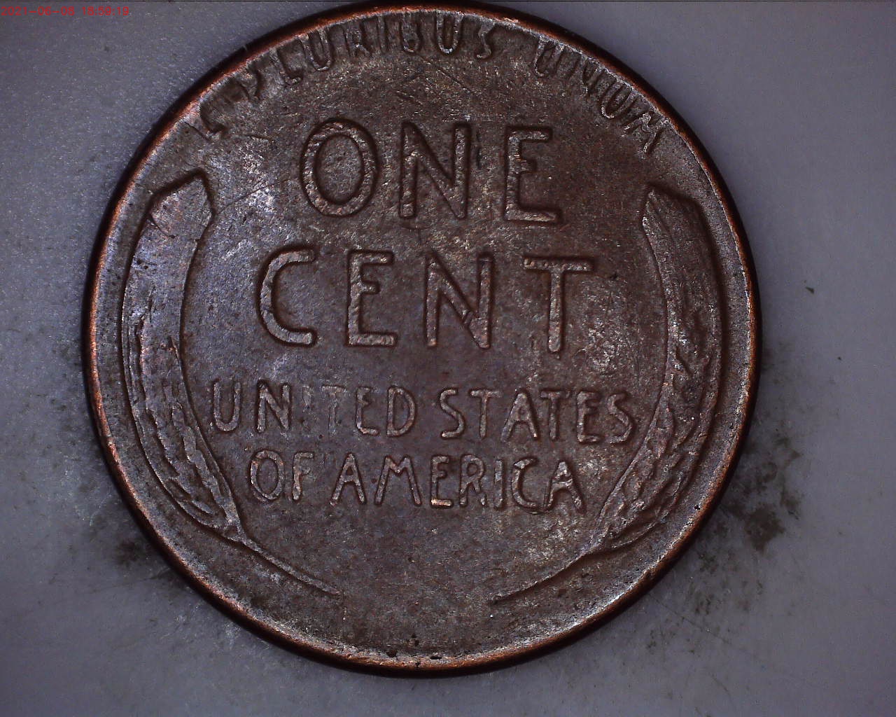 1955 reverse.jpg
