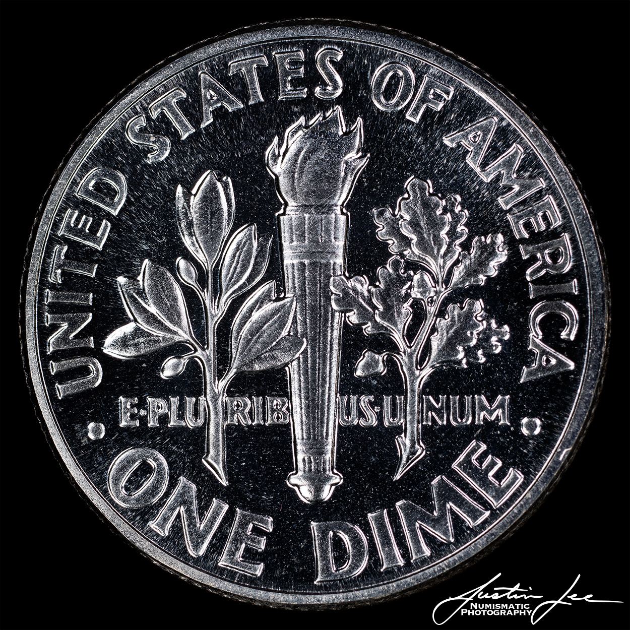 1955-Roosevelt-Dime-Proof-Reverse.jpg