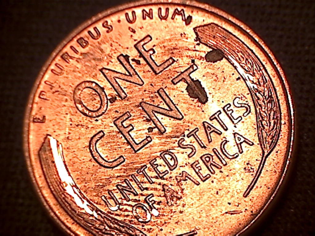 1955 s.jpg