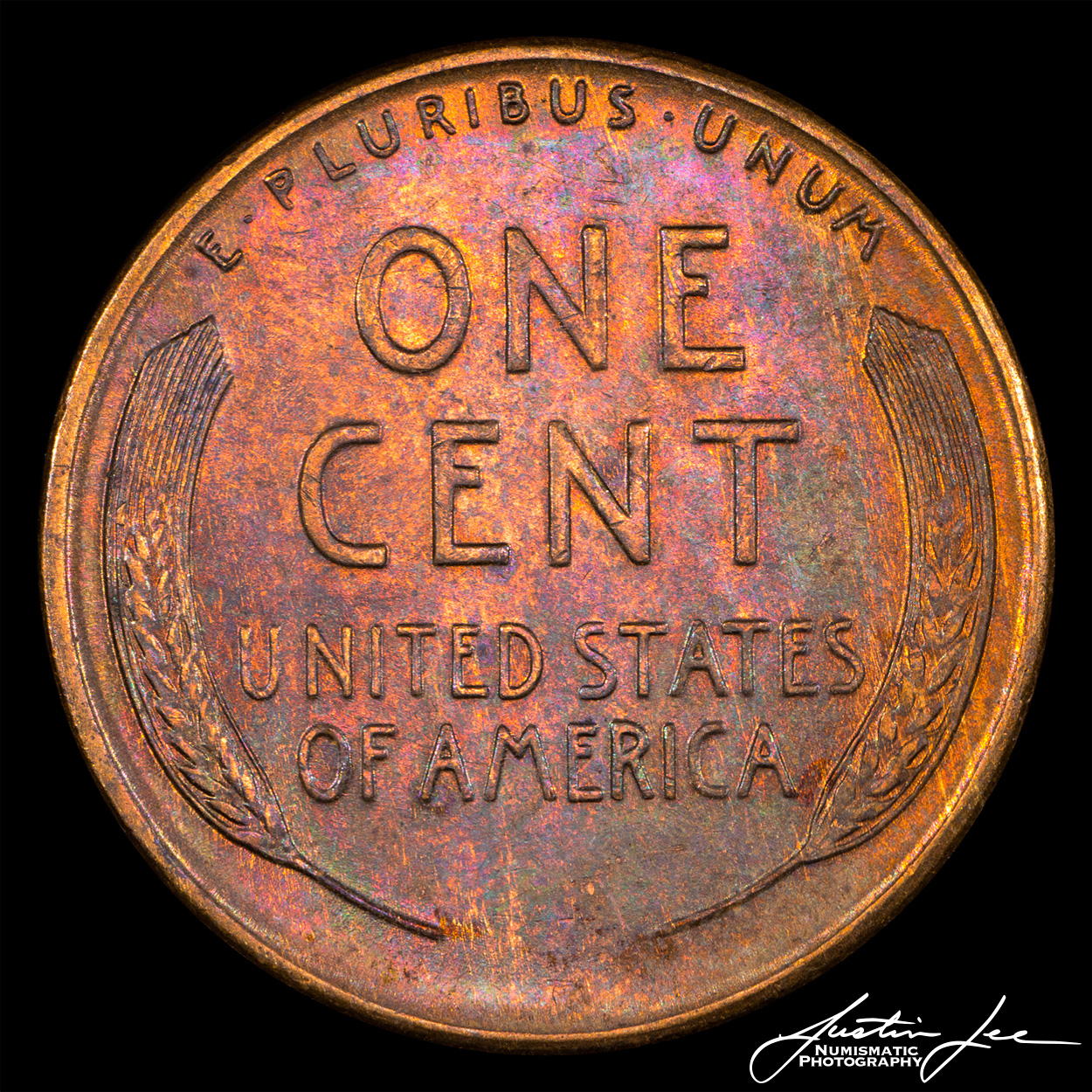 1955-S-Lincoln-Cent-Reverse.jpg