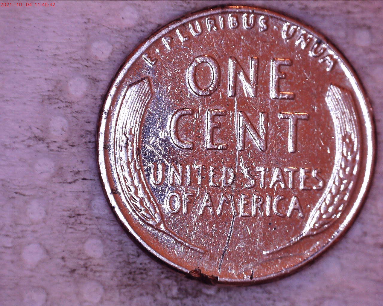 1955 tone reverse.jpg