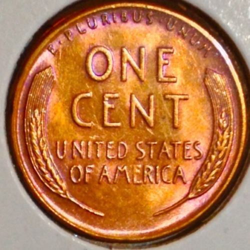 19552.jpg