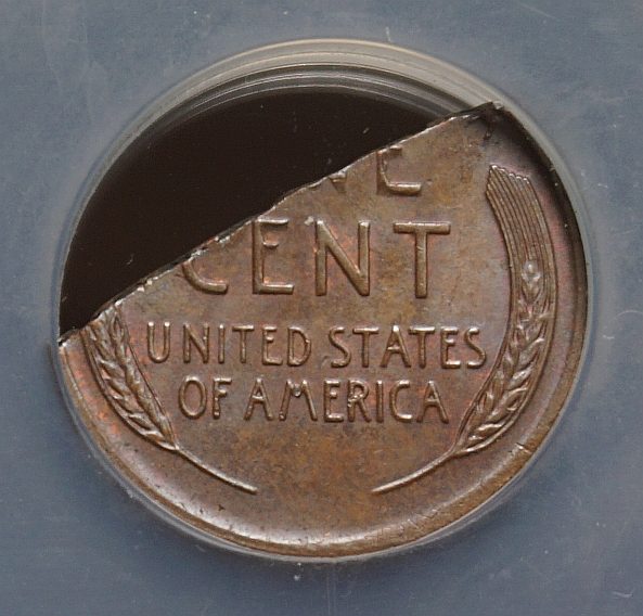 1955a2.jpg