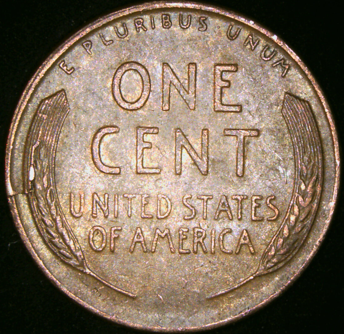 1955D_reverse.png