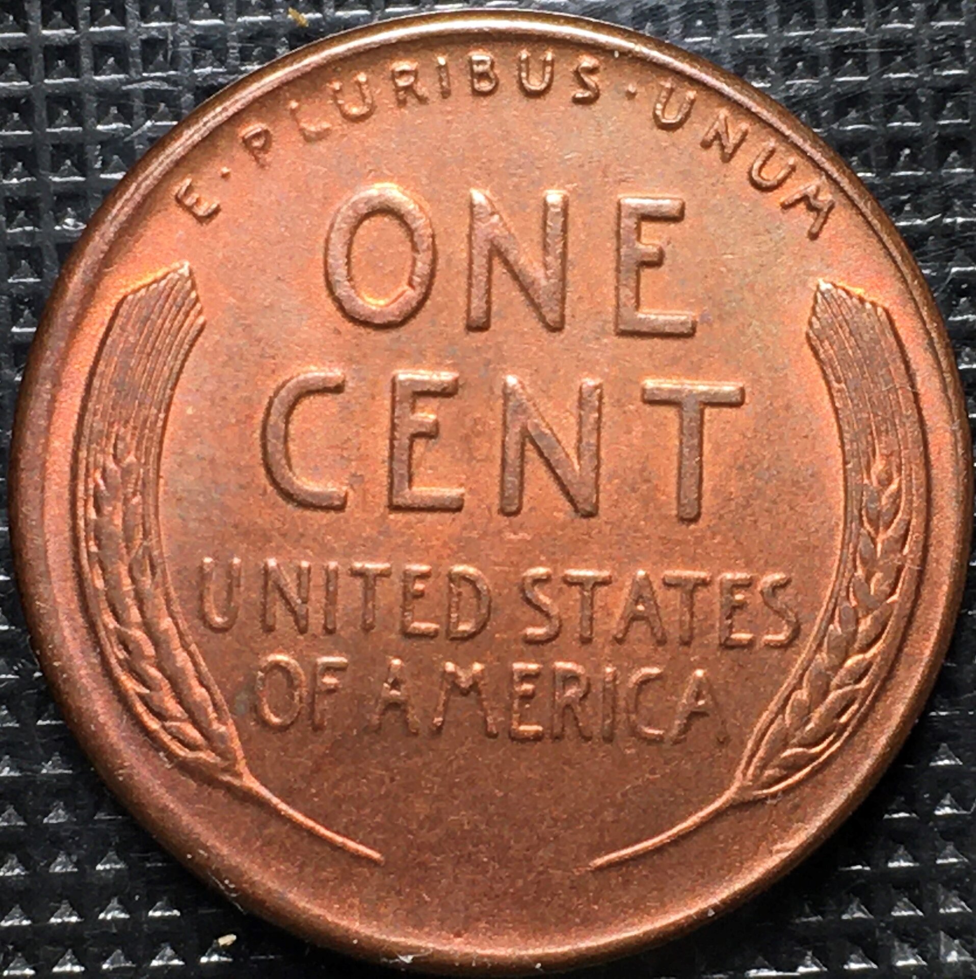 1955DDOrevfake.jpg