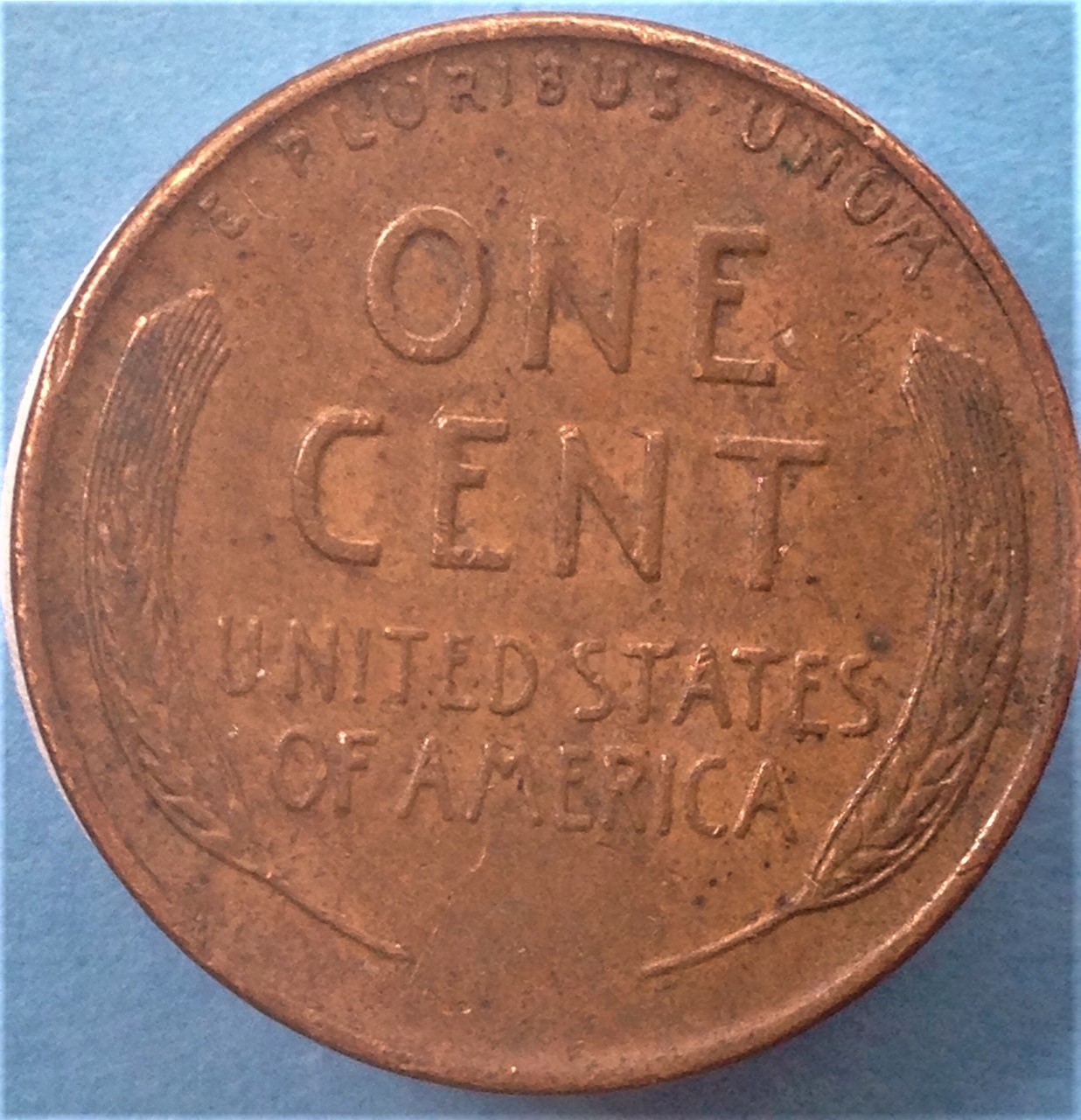 1955Dlwc2.jpg