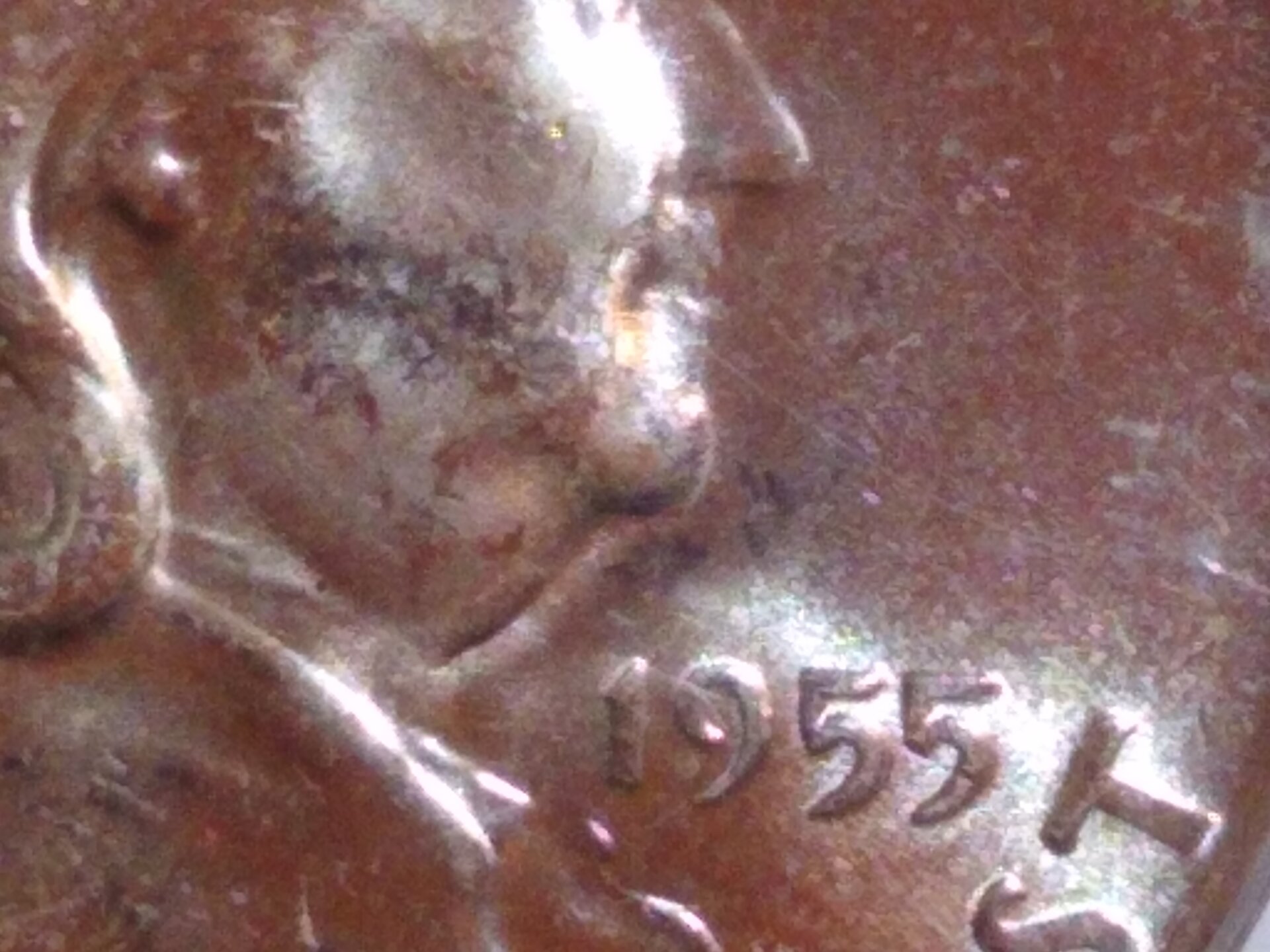 1955FDHBugs.jpg