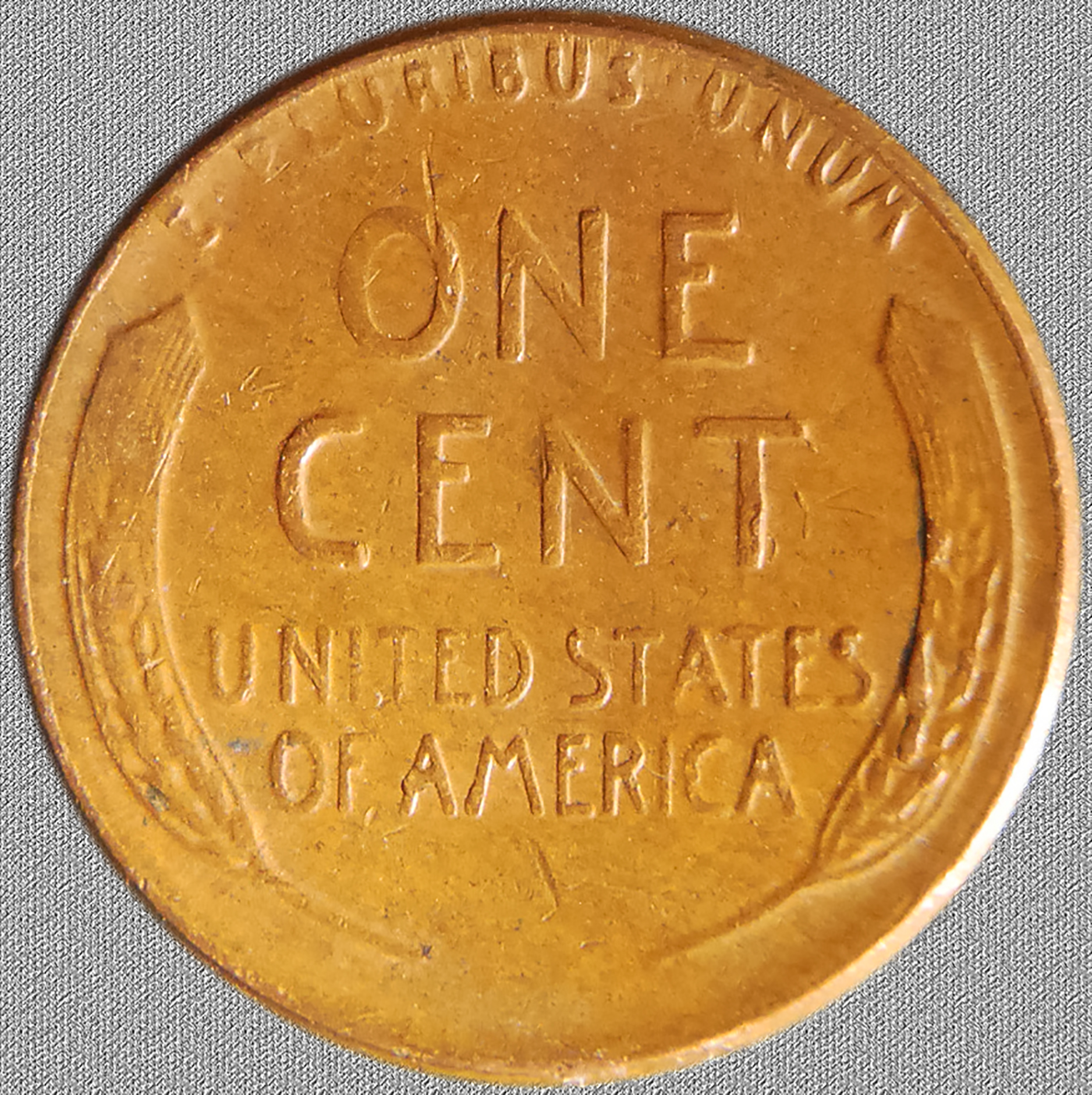 1955fullrev.jpg