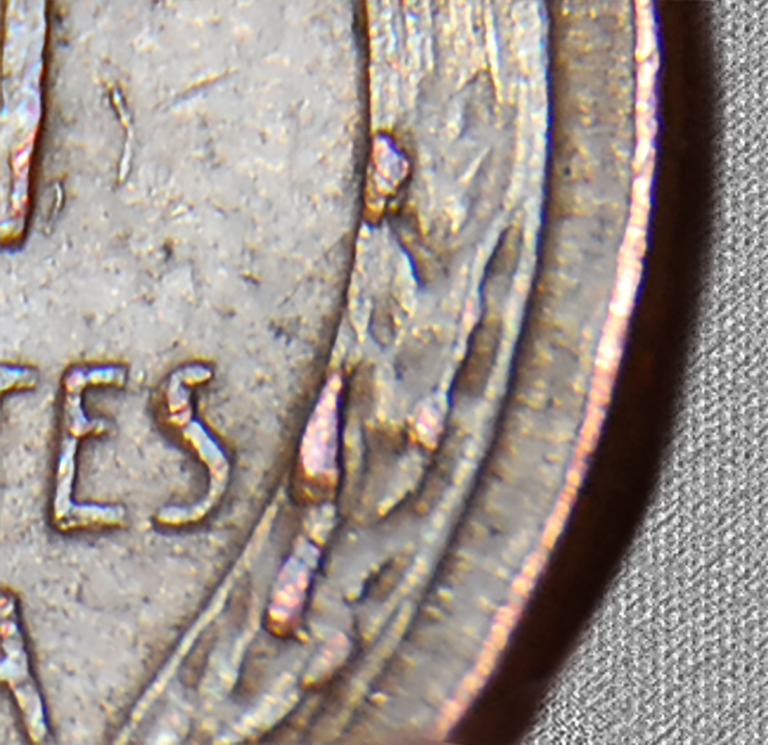 1955revcrp.jpg