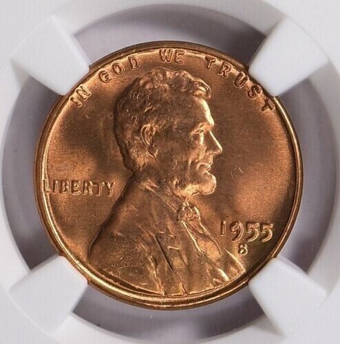 1955s.jpg