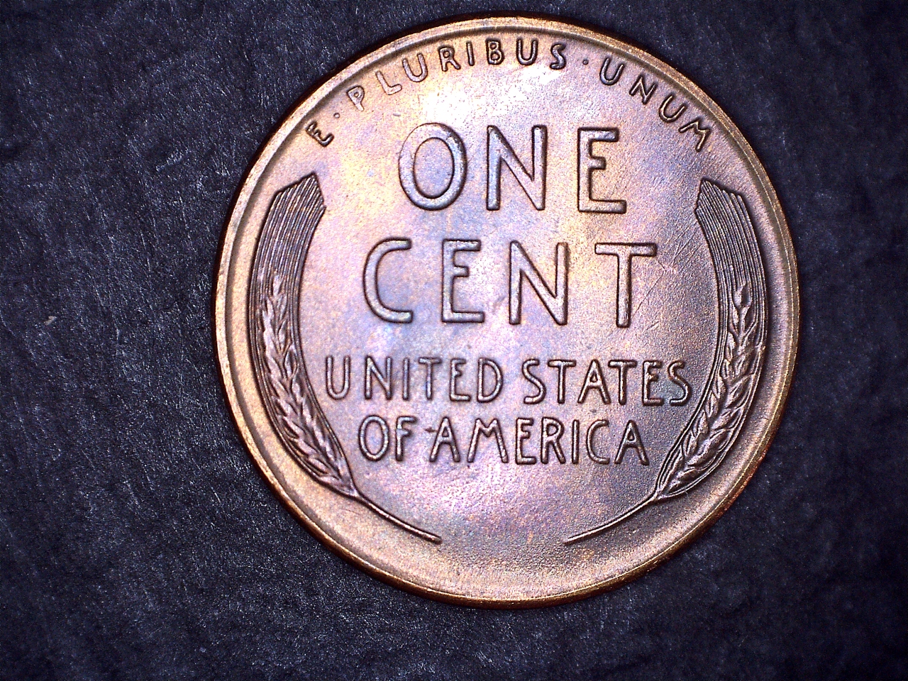 1955S r.jpg