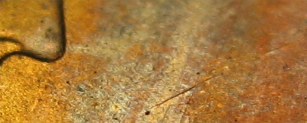 1955SlincolnTONERgpOBVDSclose_11SEP2023.jpg