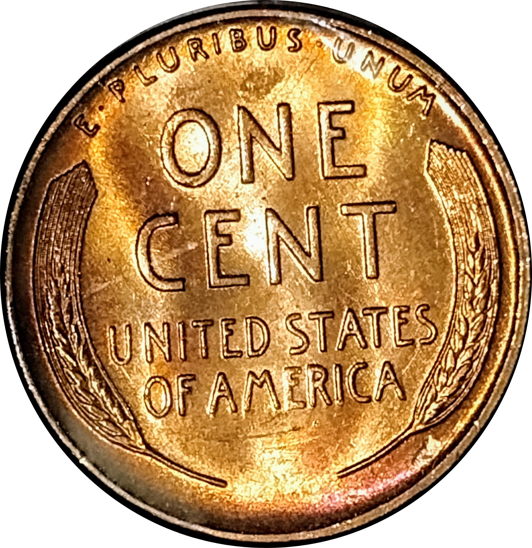 1955SRev.jpg