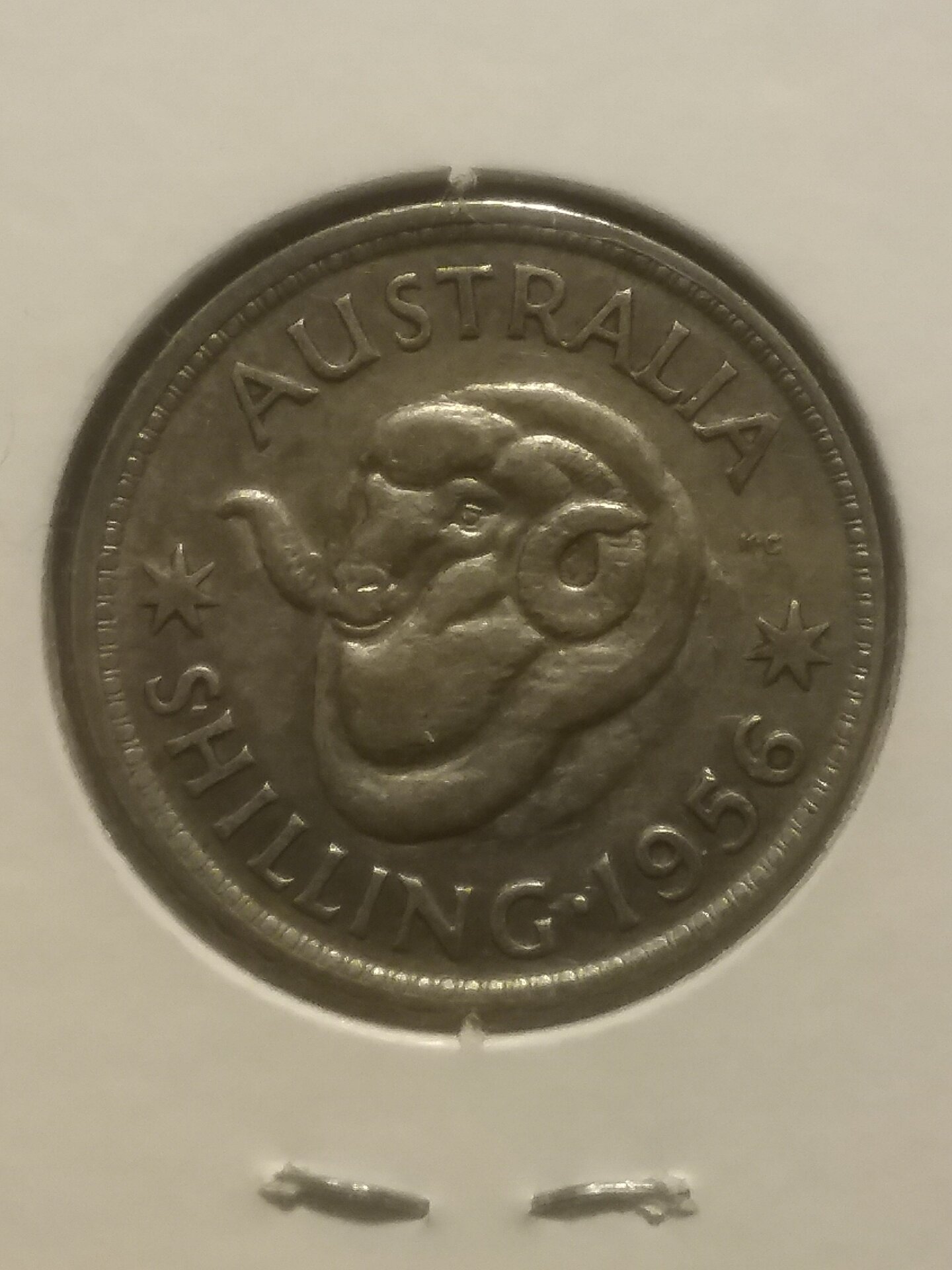 1956-back.jpg