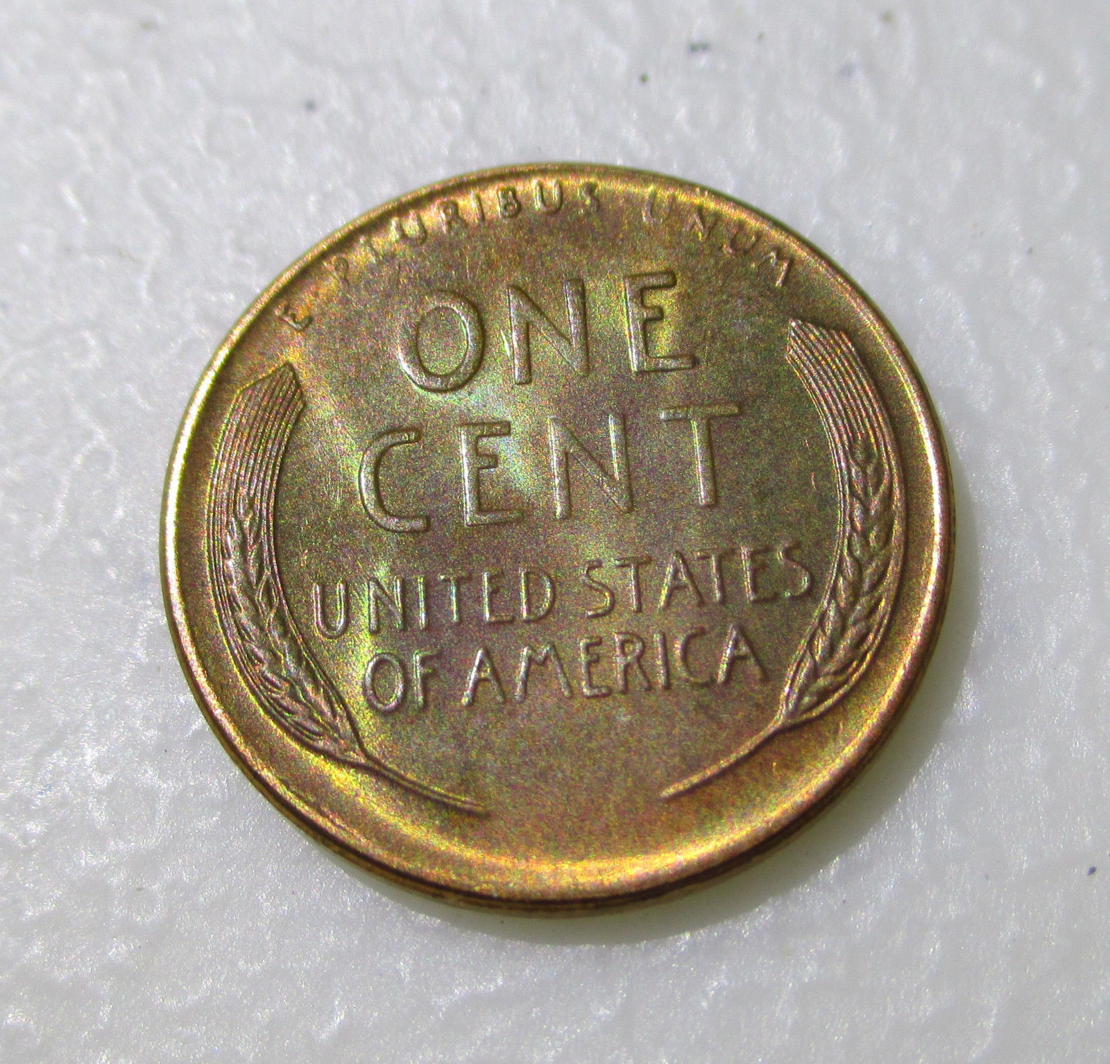 1956-D Lincoln Cent Reverse.jpg