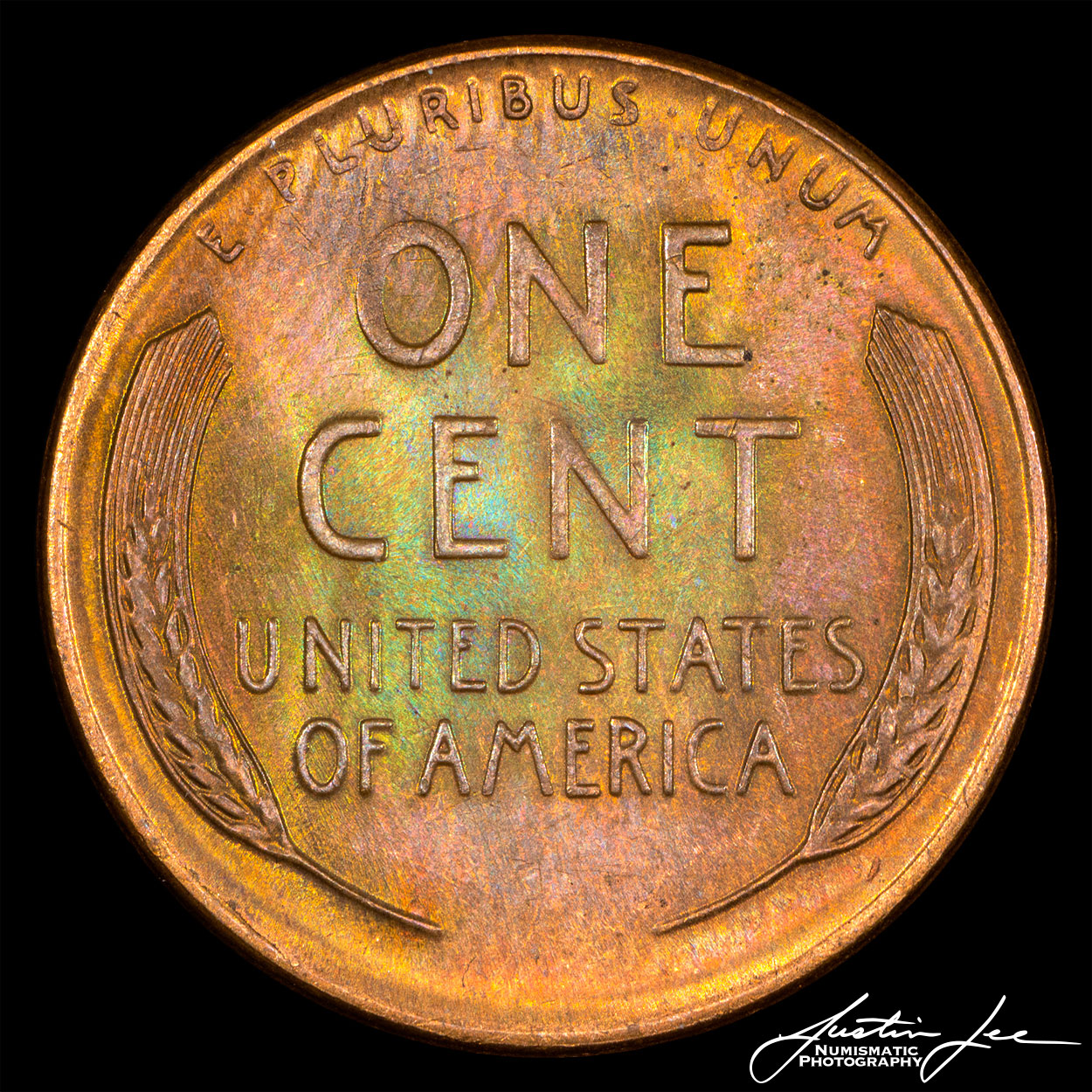 1956-D-Lincoln-Cent-Reverse.jpg