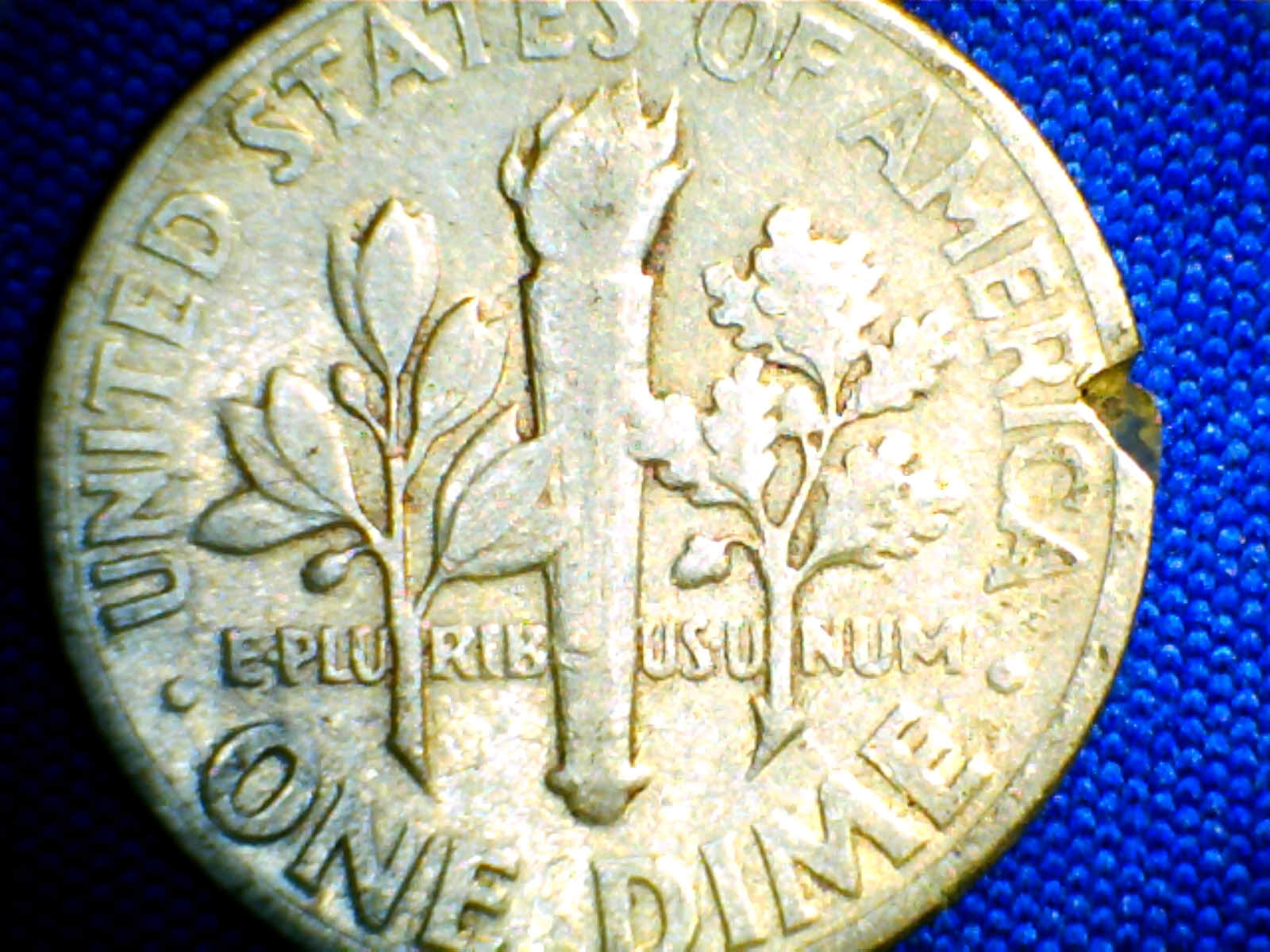 1956 Rev r1.jpg