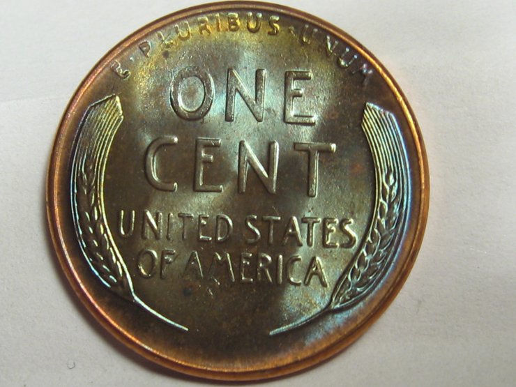 1956BLUErev2.jpg