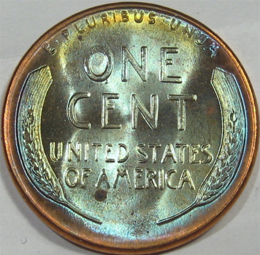 1956BLUErev5.jpg