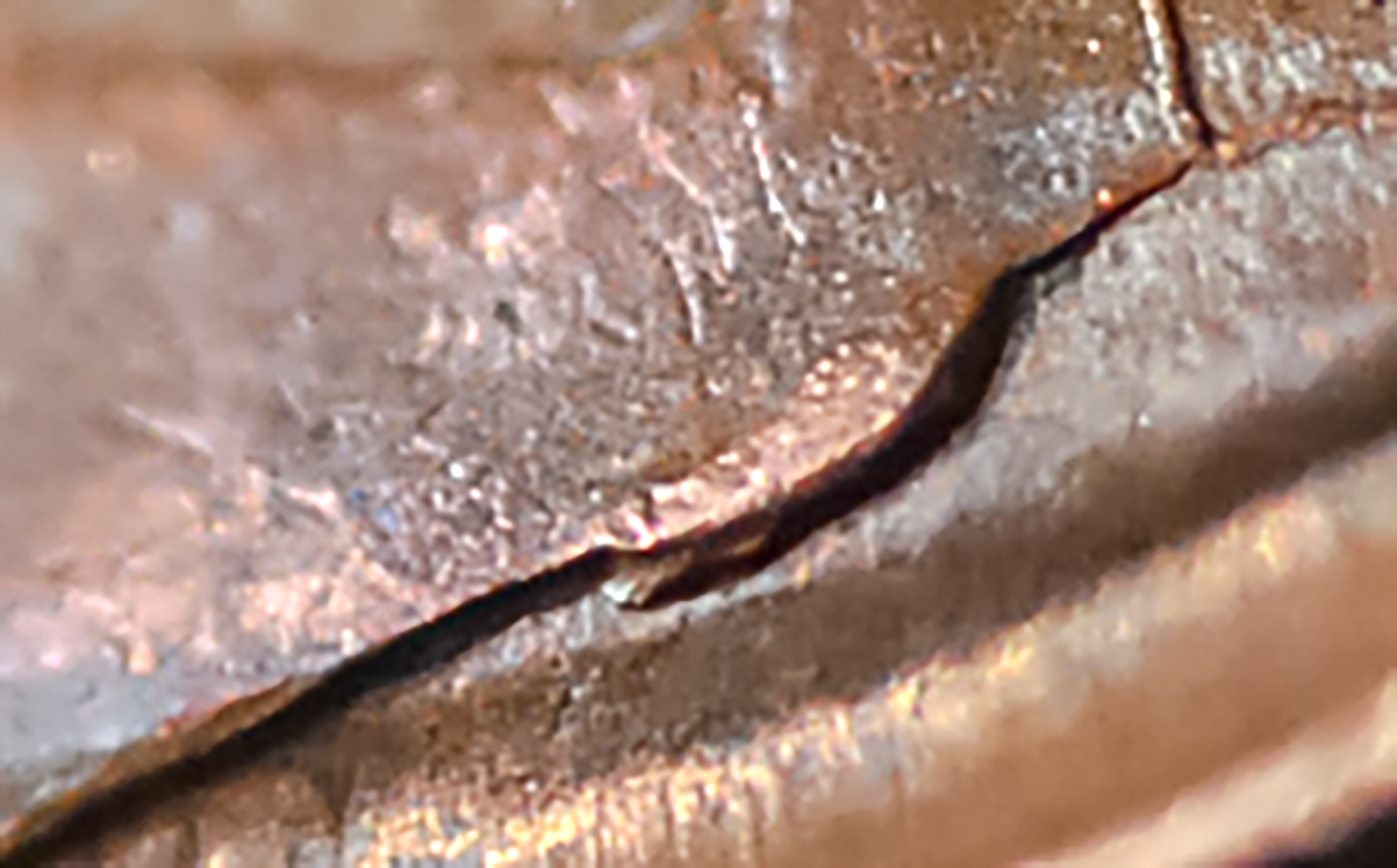 1956cropc.jpg