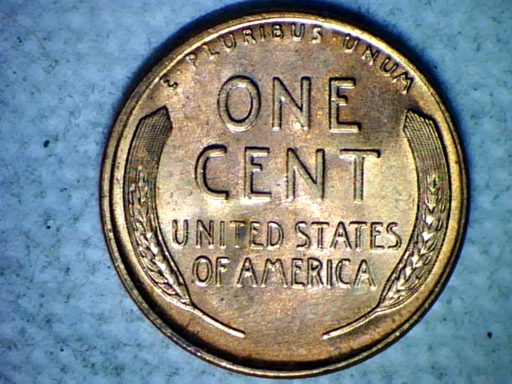 1956d-rev.jpg