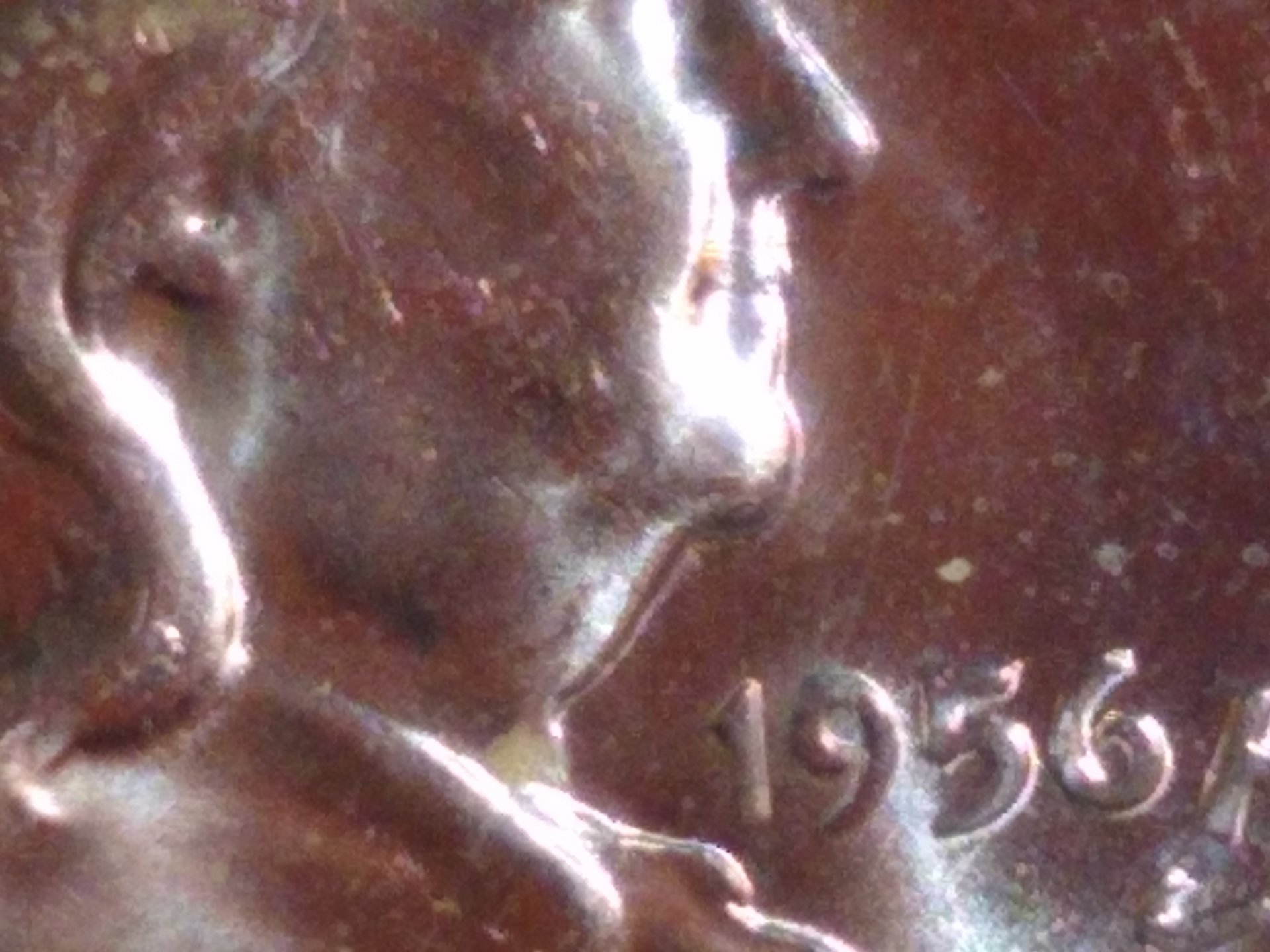 1956FHDBugs.jpg