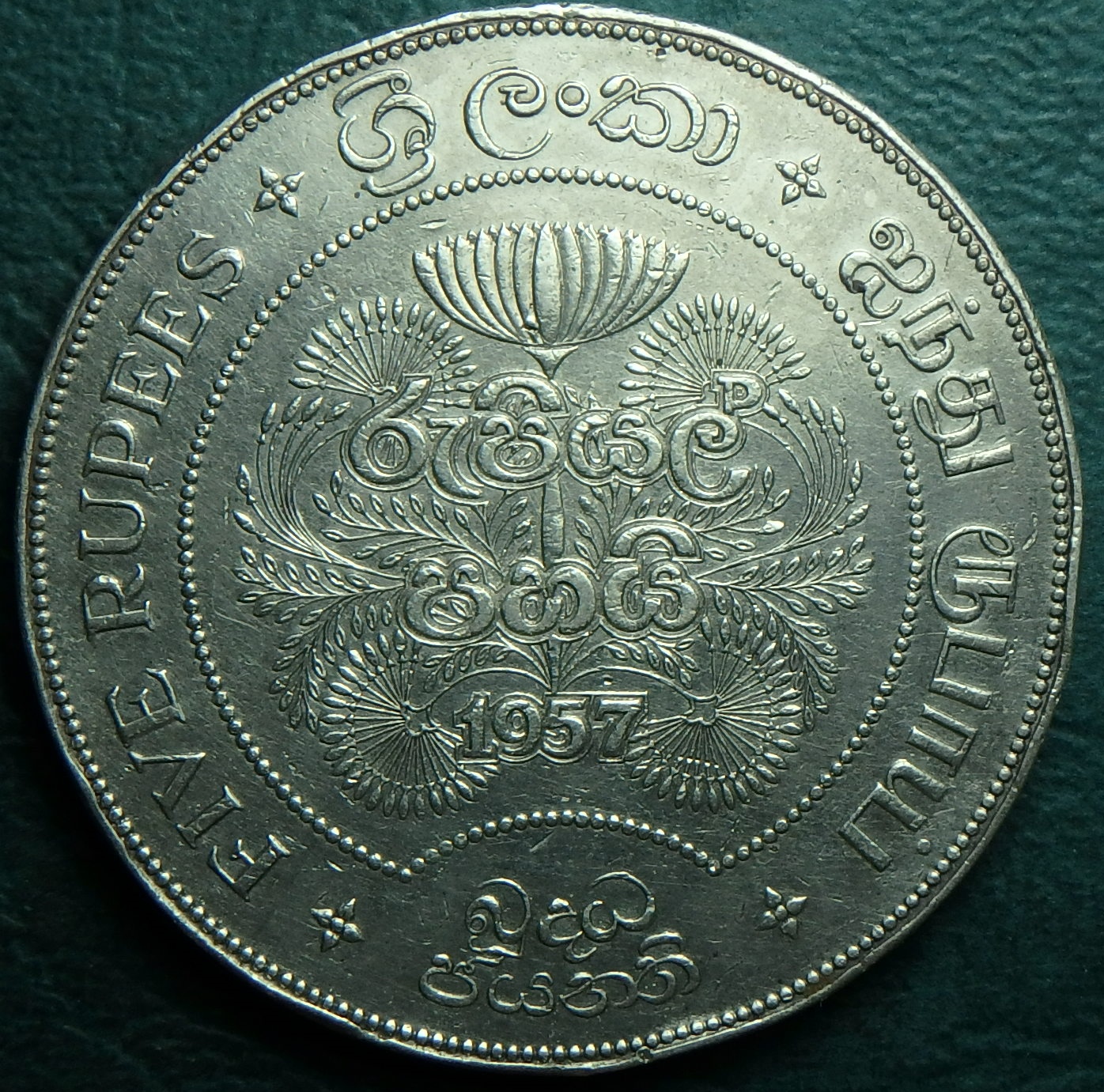 1957 Cey 5 r rev.JPG