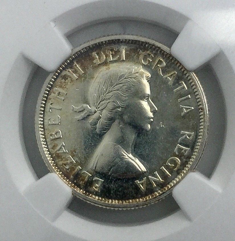 1957 D.jpg