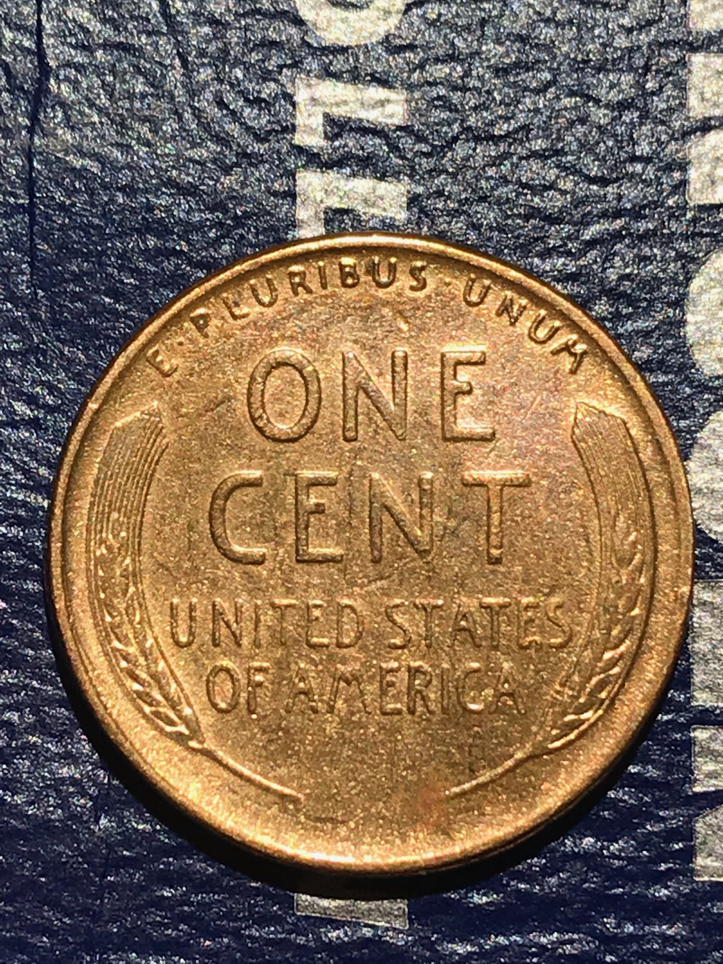 1957 D.jpg