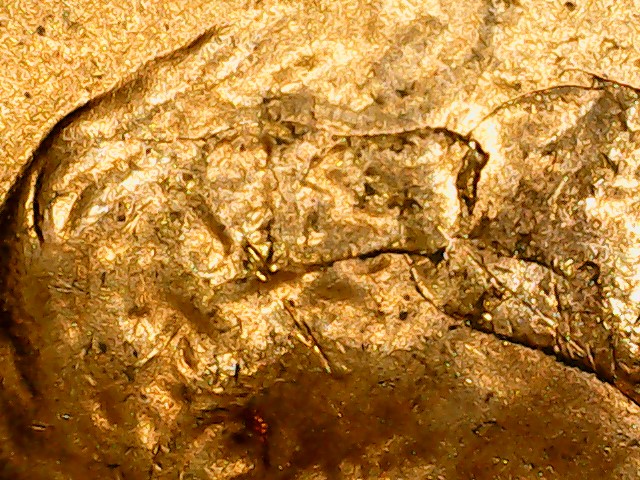 1957-D LWC Cu die chip on 9,5 - RIDCon head - chip on T7.jpg