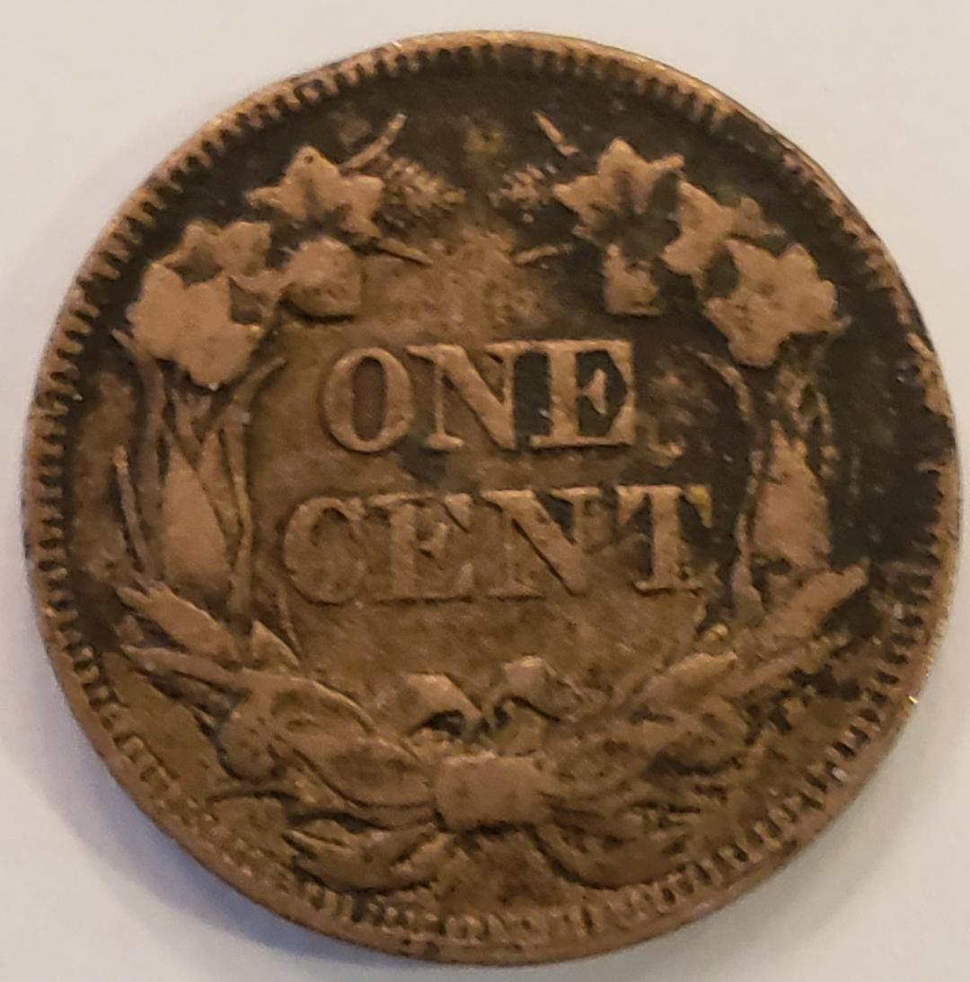 1957 Flying Eagle Cent rev.jpg